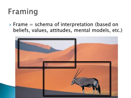  Frame = schema of interpretation (based on beliefs, values, attitudes, mental models, etc.)