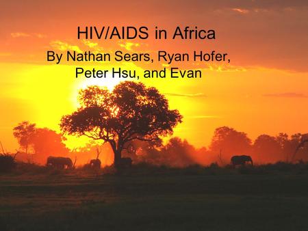HIV/AIDS in Africa By Nathan Sears, Ryan Hofer, Peter Hsu, and Evan.
