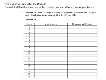 This is your worksheet for the Unit 4 IP. You will find that there are two tables – one for animal cells and one for plants cells.