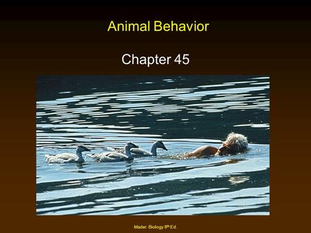Animal Behavior Chapter 45 Mader: Biology 8th Ed..