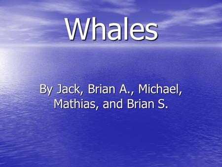 Whales By Jack, Brian A., Michael, Mathias, and Brian S.