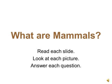 What are Mammals? Read each slide. Look at each picture. Answer each question.