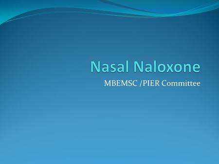 MBEMSC /PIER Committee