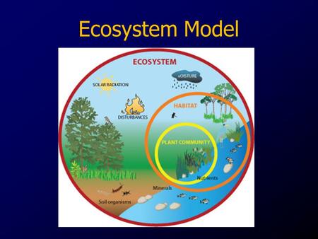 Ecosystem Model.