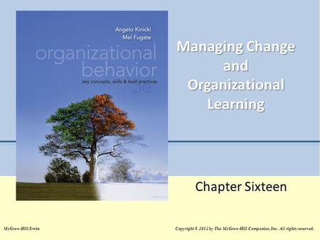 Managing Change and Organizational Learning