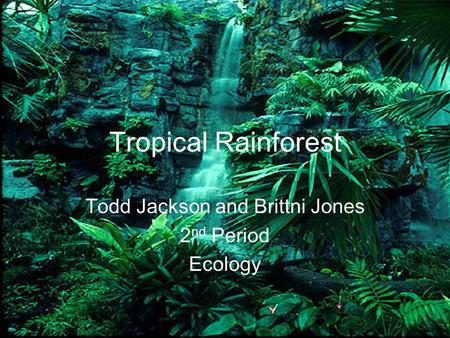 Tropical Rainforest Todd Jackson and Brittni Jones 2 nd Period Ecology.