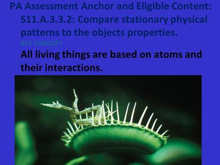 PA Assessment Anchor and Eligible Content: S11.A.3.3.2: Compare stationary physical patterns to the objects properties. KEY CONCEPT All living things are.