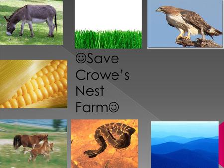 Save Crowe’s Nest Farm. Now, that there is a drought we do not have a enough water to give to the animals and plants.