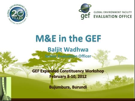 M&E in the GEF.  RBM, Monitoring & Evaluation  M&E in the GEF  M&E Levels and Responsible Agencies  M&E Policy  Minimum Requirements  Role of the.