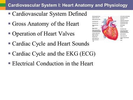 Cardiovascular System I: Heart Anatomy and Physiology  Cardiovascular System Defined  Gross Anatomy of the Heart  Operation of Heart Valves  Cardiac.