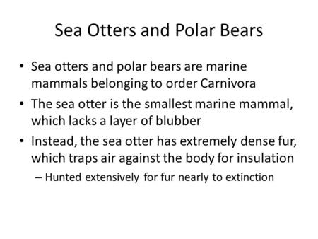 Sea Otters and Polar Bears Sea otters and polar bears are marine mammals belonging to order Carnivora The sea otter is the smallest marine mammal, which.