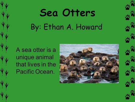 Sea Otters By: Ethan A. Howard