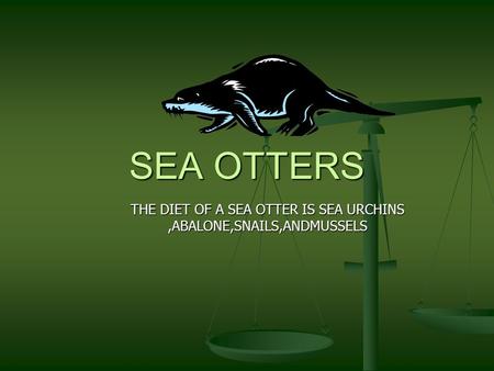 SEA OTTERS THE DIET OF A SEA OTTER IS SEA URCHINS,ABALONE,SNAILS,ANDMUSSELS LS,