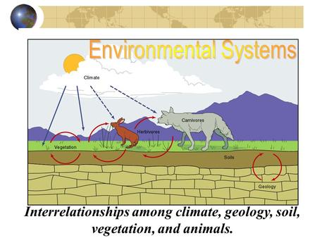 Interrelationships among climate, geology, soil, vegetation, and animals.