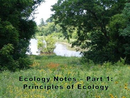 Ecology Notes – Part 1: Principles of Ecology