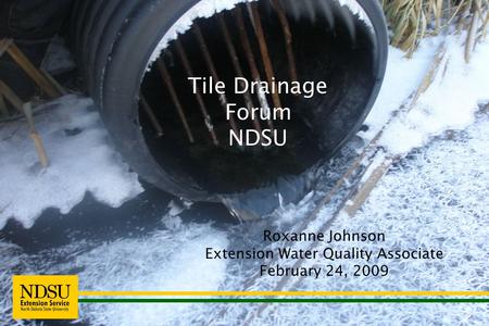 Roxanne Johnson Extension Water Quality Associate February 24, 2009 Tile Drainage Forum NDSU.