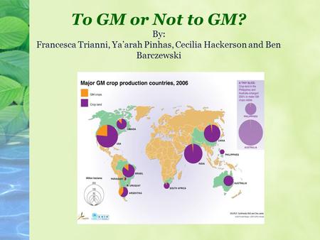 To GM or Not to GM? By: Francesca Trianni, Ya’arah Pinhas, Cecilia Hackerson and Ben Barczewski.