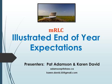 Illustrated End of Year Expectations Presenters: Pat Adamson & Karen David  mRLC.