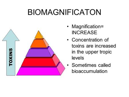 BIOMAGNIFICATON Magnification= INCREASE