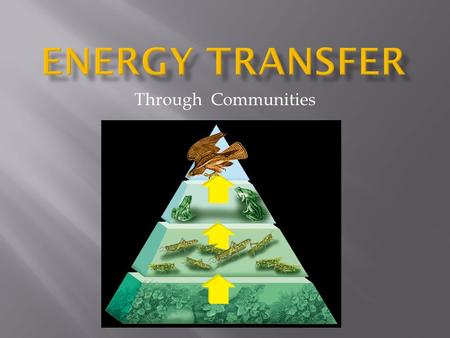 Through Communities.  Used to illustrate the flow of energy at each trophic level within a community.  Measured in terms of BIOMASS: the amount of living,