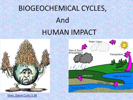 BIOGEOCHEMICAL CYCLES, And HUMAN IMPACT Man, Steve Cutts 3.36.