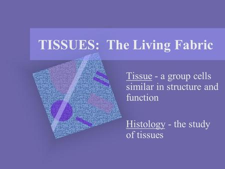 TISSUES: The Living Fabric Tissue - a group cells similar in structure and function Histology - the study of tissues.