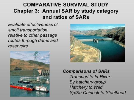 COMPARATIVE SURVIVAL STUDY Chapter 3: Annual SAR by study category and ratios of SARs Comparisons of SARs Transport to In-River By hatchery group Hatchery.