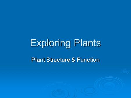 Exploring Plants Plant Structure & Function. Tissues  Vascular tissue form strands that conduct water, minerals, & nutrients through a plant  Dermal.