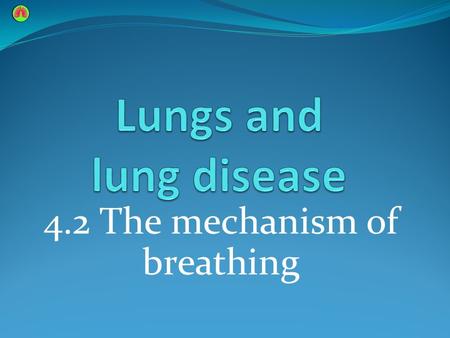 4.2 The mechanism of breathing. Learning outcomes Students should understand the following: The mechanism of breathing. Pulmonary ventilation as the product.
