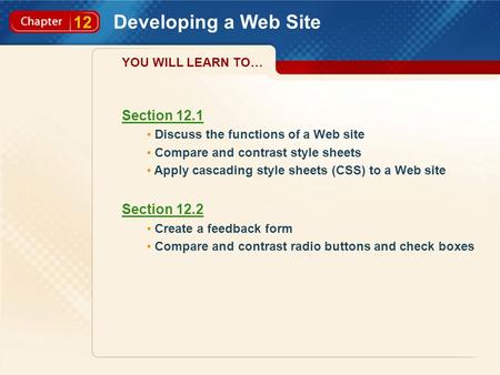 12 Developing a Web Site Section 12.1 Discuss the functions of a Web site Compare and contrast style sheets Apply cascading style sheets (CSS) to a Web.