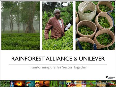 RAINFOREST ALLIANCE & UNILEVER Transforming the Tea Sector Together Follow the Frog Videothe  o.