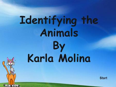 Identifying the Animals By Karla Molina Start Content Standard Core Assignment Websites Video Work Cited.