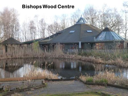 Bishops Wood Centre. Forest School Leader training2011-12Participants2012-13Participants At Bishops Wood Level 11819 Level 2113115 Level 3580117 Modular.
