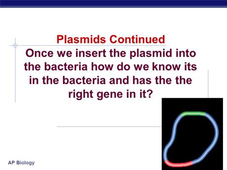 Plasmids Continued Once we insert the plasmid into the bacteria how do we know its in the bacteria and has the the right gene in it? 2007-2008.