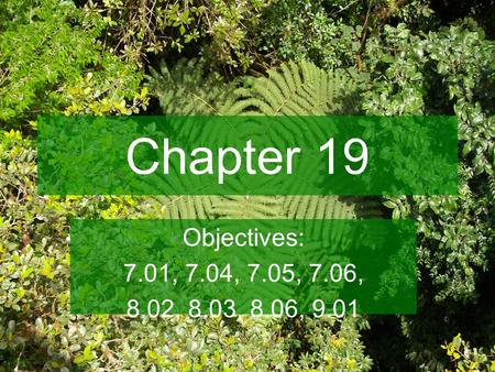 Chapter 19 Objectives: 7.01, 7.04, 7.05, 7.06, 8.02, 8.03, 8.06, 9.01.