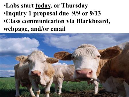 Labs start today, or Thursday Inquiry 1 proposal due 9/9 or 9/13 Class communication via Blackboard, webpage, and/or email.