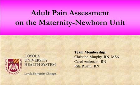 Adult Pain Assessment on the Maternity-Newborn Unit Team Membership: Christine Murphy, RN, MSN Carol Anderson, RN Rita Risatti, RN.