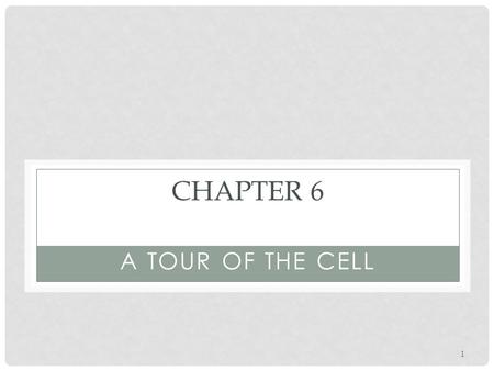 Chapter 6 A Tour of the Cell.