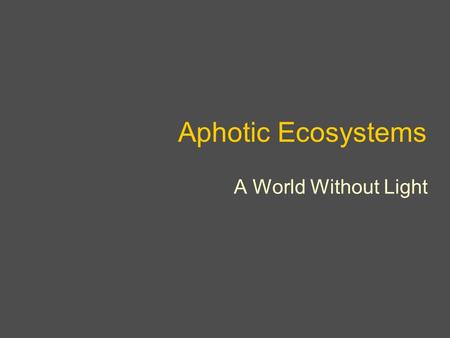 Aphotic Ecosystems A World Without Light.