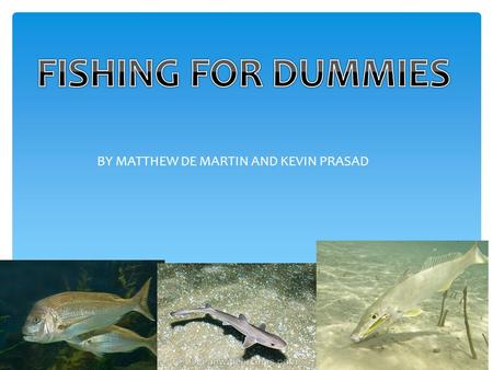 BY MATTHEW DE MARTIN AND KEVIN PRASAD  Fishing Rod  Hook, Line and Sinker  Boat (Optional)  Bait, Soft Plastics or Lure  Bucket  Net.