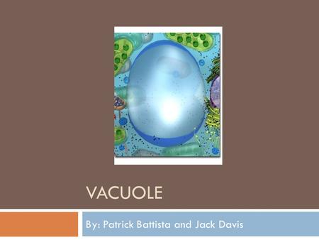 VACUOLE By: Patrick Battista and Jack Davis. Structure  A vacuole is a mass of fluid surrounded by a membrane.  Vacuoles are different in plant and.