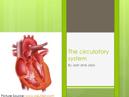 The circulatory system By Josh and Jack Picture Source: www.ceufast.comwww.ceufast.com.