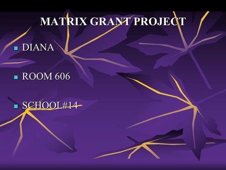 MATRIX GRANT PROJECT DIANA DIANA ROOM 606 ROOM 606 SCHOOL#14 SCHOOL#14.
