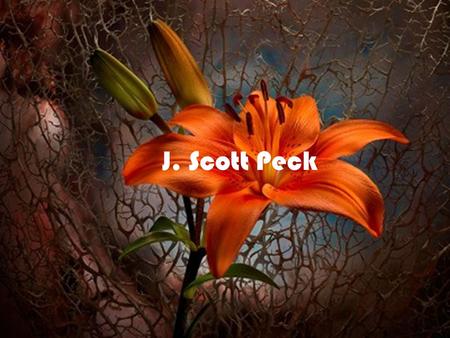 J. Scott Peck. Biography: Scott Peck was born in Colorado and was raised in a small rural mountain area. He lived in a small house with 5 younger siblings,