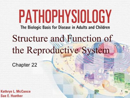 Structure and Function of the Reproductive System Chapter 22.