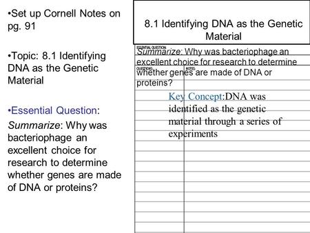 8.2 Structure of DNA Set up Cornell Notes on pg. 91 Topic: 8.1 Identifying DNA as the Genetic Material Essential Question: Summarize: Why was bacteriophage.