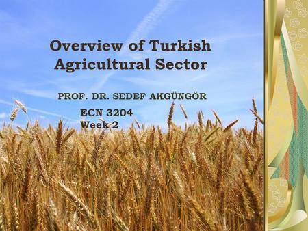 Overview of Turkish Agricultural Sector