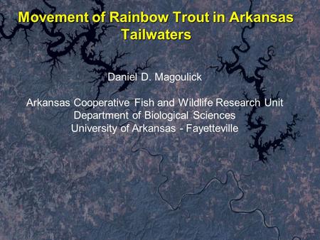 Movement of Rainbow Trout in Arkansas Tailwaters Daniel D. Magoulick Arkansas Cooperative Fish and Wildlife Research Unit Department of Biological Sciences.