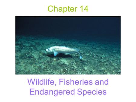 Chapter 14 Wildlife, Fisheries and Endangered Species.