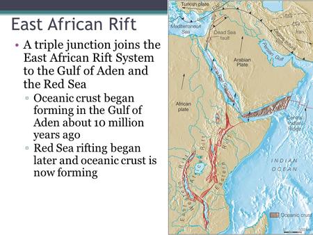 East African Rift A triple junction joins the East African Rift System to the Gulf of Aden and the Red Sea Oceanic crust began forming in the Gulf.